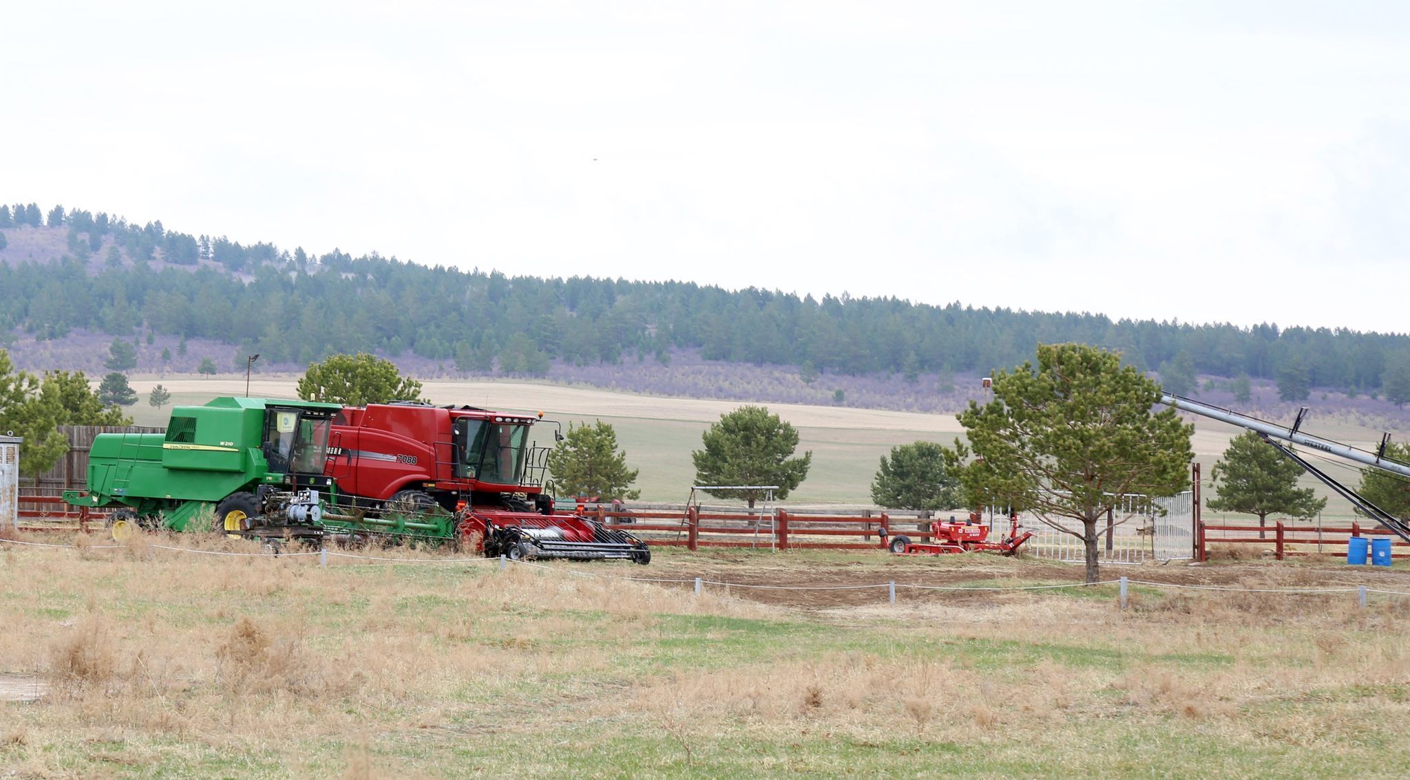Хүнсний ногооны үрийн үнийг 80 хувь хөнгөлж ногоочдод олгож байна